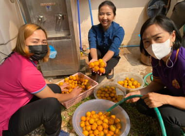 ร่วมปฏิบัติการแปรรูปผลผลิตของเกษตรกรผู้ปลูกส้มเขียวหวาน ... พารามิเตอร์รูปภาพ 1