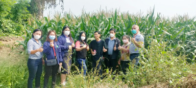 ติดตามการดำเนินงานตามโครงการระบบส่งเสริมกษตรแบบแปลงใหญ่ พารามิเตอร์รูปภาพ 1