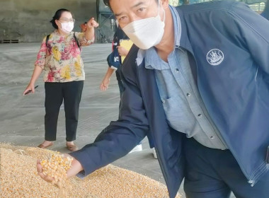 ติดตามการดำเนินงานตามโครงการระบบส่งเสริมกษตรแบบแปลงใหญ่ พารามิเตอร์รูปภาพ 8