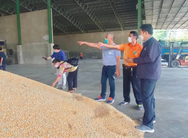 ติดตามการดำเนินงานตามโครงการระบบส่งเสริมกษตรแบบแปลงใหญ่ พารามิเตอร์รูปภาพ 4