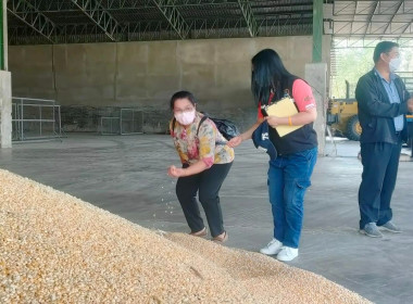 ติดตามการดำเนินงานตามโครงการระบบส่งเสริมกษตรแบบแปลงใหญ่ พารามิเตอร์รูปภาพ 10