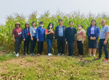 ติดตามการดำเนินงานตามโครงการระบบส่งเสริมกษตรแบบแปลงใหญ่ พารามิเตอร์รูปภาพ 6