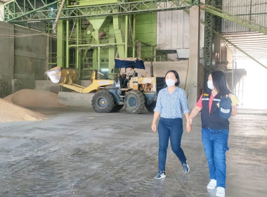 ติดตามการดำเนินงานตามโครงการระบบส่งเสริมกษตรแบบแปลงใหญ่ พารามิเตอร์รูปภาพ 11