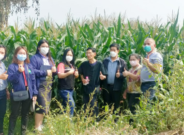 ติดตามการดำเนินงานตามโครงการระบบส่งเสริมกษตรแบบแปลงใหญ่ พารามิเตอร์รูปภาพ 5