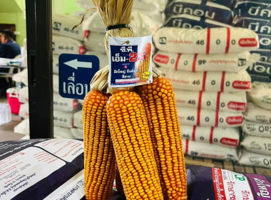 ตรวจการสหกรณ์ผู้ใช้น้ำฝายยางแม่ยม จำกัด พารามิเตอร์รูปภาพ 13