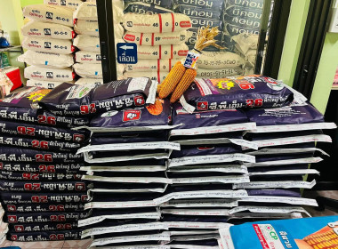 ตรวจการสหกรณ์ผู้ใช้น้ำฝายยางแม่ยม จำกัด พารามิเตอร์รูปภาพ 11