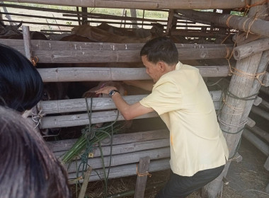 โครงการประชารัฐพัฒนาอาชีพการเลี้ยงโคเนื้อ ... พารามิเตอร์รูปภาพ 5