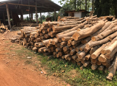 ประชุมคณะกรรมการดำเนินการของสหกรณ์บริการผลิตภัณฑ์ไม้น้ำชำ-หัวฝาย จำกัด ... พารามิเตอร์รูปภาพ 5