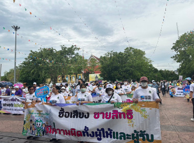 กิจกรรมเดินรณรงค์ ... พารามิเตอร์รูปภาพ 6
