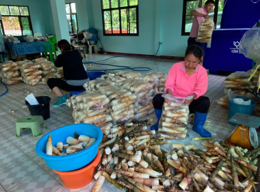 ประกวดแปลงใหญ่ดีเด่นระดับจังหวัด ประจำปี 2566 พารามิเตอร์รูปภาพ 5
