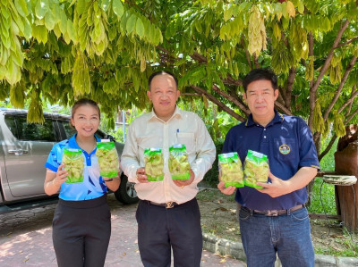 ตรวจเยี่ยม สหกรณ์ กลุ่มเกษตรกร กลุ่มอาชีพ ... พารามิเตอร์รูปภาพ 1