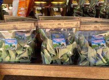 ตรวจเยี่ยม สหกรณ์ กลุ่มเกษตรกร กลุ่มอาชีพ ... พารามิเตอร์รูปภาพ 6