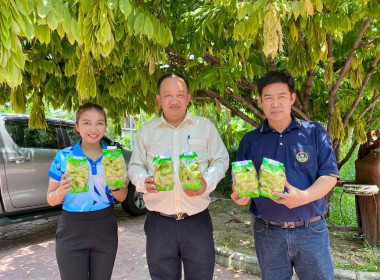 ตรวจเยี่ยม สหกรณ์ กลุ่มเกษตรกร กลุ่มอาชีพ ... พารามิเตอร์รูปภาพ 1