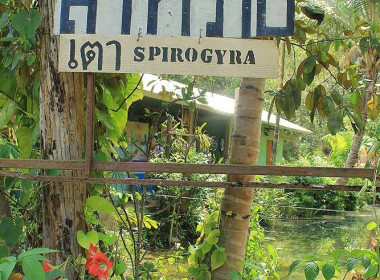 ตรวจเยี่ยม สหกรณ์ กลุ่มเกษตรกร กลุ่มอาชีพ ... พารามิเตอร์รูปภาพ 3