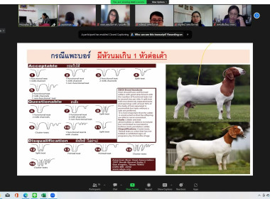 โครงการฝึกอบรมหลักสูตรเสริมทักษะอาชีพเกษตรเฉพาะด้าน พารามิเตอร์รูปภาพ 2