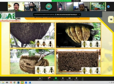 โครงการอบรมเพิ่มทักษะเพื่อส่งเสริมและพัฒนาอาชีพ ... พารามิเตอร์รูปภาพ 5