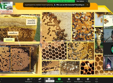 โครงการอบรมเพิ่มทักษะเพื่อส่งเสริมและพัฒนาอาชีพ ... พารามิเตอร์รูปภาพ 4