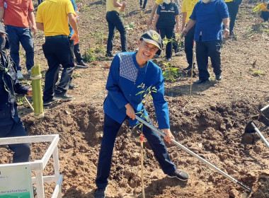 กิจกรรมวันต้นไม้ประจำปีของชาติ พ.ศ.2566 ... พารามิเตอร์รูปภาพ 2