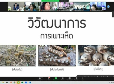 ร่วมโครงการอบรมเพิ่มทักษะเพื่อส่งเสริมและพัฒนาอาชีพ ... พารามิเตอร์รูปภาพ 10