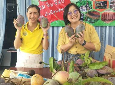 โครงการสร้างสมดุลชีวิตคนทำงาน ประจำปี 2566 พารามิเตอร์รูปภาพ 13