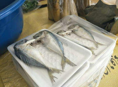 โครงการสร้างสมดุลชีวิตคนทำงาน ประจำปี 2566 พารามิเตอร์รูปภาพ 17