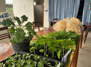 โครงการสร้างสมดุลชีวิตคนทำงาน ประจำปี 2566 พารามิเตอร์รูปภาพ 9