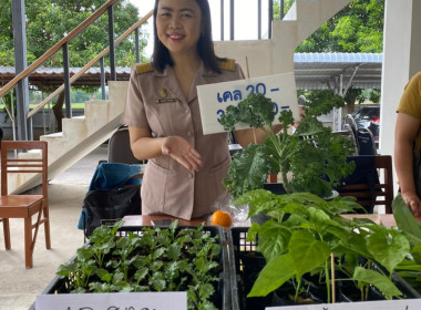 โครงการสร้างสมดุลชีวิตคนทำงาน ประจำปี 2566 พารามิเตอร์รูปภาพ 5