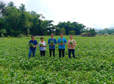 ตรวจเยี่ยมการดำเนินงานของกลุ่มสตรีสหกรณ์บ้านกวาง ... พารามิเตอร์รูปภาพ 5