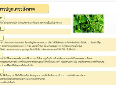 โครงการอบรมเพิ่มทักษะเพื่อส่งเสริมและพัฒนาอาชีพ ... พารามิเตอร์รูปภาพ 9