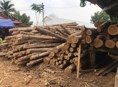 ประชุมคณะกรรมการดำเนินการของสหกรณ์บริการผลิตภัณฑ์ไม้น้ำชำ-หัวฝาย จำกัด ... พารามิเตอร์รูปภาพ 5