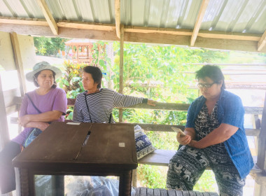 สอบทานหนี้ กลุ่มเกษตรกรทำไร่ช่อแฮ พารามิเตอร์รูปภาพ 5