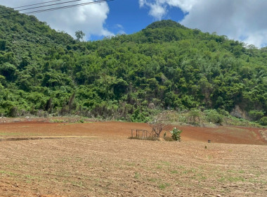 โครงการที่ดินทำกินให้ชุมชนตามนโยบายรัฐบาล (คทช.) ป่าแม่คำมี พารามิเตอร์รูปภาพ 8