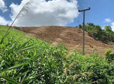 โครงการที่ดินทำกินให้ชุมชนตามนโยบายรัฐบาล (คทช.) ป่าแม่คำมี พารามิเตอร์รูปภาพ 6