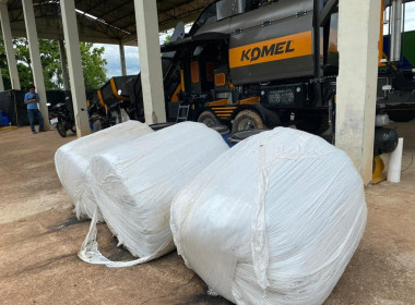 โครงการอบรมเชิงปฏิบัติการ “การผลิตอาหารสัตว์เชิงอุตสาหกรรม” ... พารามิเตอร์รูปภาพ 17