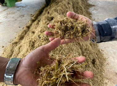 โครงการอบรมเชิงปฏิบัติการ “การผลิตอาหารสัตว์เชิงอุตสาหกรรม” ... พารามิเตอร์รูปภาพ 14