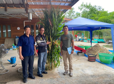 จัดอบรมเชิงปฏิบัติการ "การผลิตอาหารสัตว์เชิงอุตสาหกรรม" พารามิเตอร์รูปภาพ 3