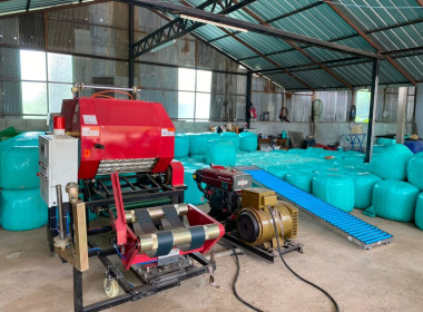 จัดอบรมเชิงปฏิบัติการ "การผลิตอาหารสัตว์เชิงอุตสาหกรรม" พารามิเตอร์รูปภาพ 4