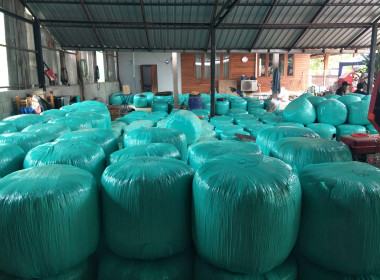 จัดอบรมเชิงปฏิบัติการ "การผลิตอาหารสัตว์เชิงอุตสาหกรรม" พารามิเตอร์รูปภาพ 10