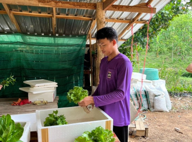 โครงการนำลูกหลานเกษตรกรกลับบ้านสานต่ออาชีพการเกษตร พารามิเตอร์รูปภาพ 8