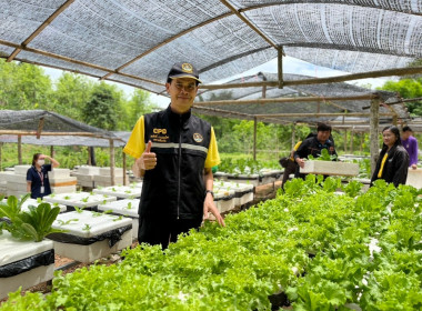 โครงการนำลูกหลานเกษตรกรกลับบ้านสานต่ออาชีพการเกษตร พารามิเตอร์รูปภาพ 1