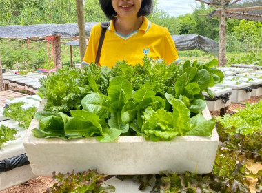 โครงการนำลูกหลานเกษตรกรกลับบ้านสานต่ออาชีพการเกษตร พารามิเตอร์รูปภาพ 7