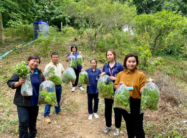โครงการนำลูกหลานเกษตรกรกลับบ้านสานต่ออาชีพการเกษตร พารามิเตอร์รูปภาพ 12