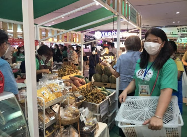 เข้าร่วมจัดงานแสดงและจำหน่ายสินค้าเกษตรปลอดภัยและสินค้าเกษตรอัตลักษณ์ ประจำปี 2566 ณ ศูนย์การค้าเซ็นทรัลปิ่นเกล้า ... พารามิเตอร์รูปภาพ 18