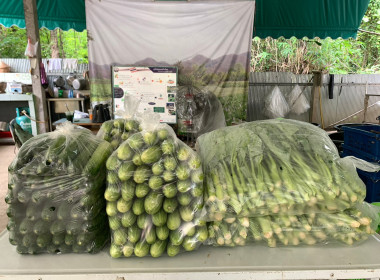 รางวัลบริหารราชการแบบมีส่วนร่วม (เลิศรัฐ) สำนักงาน ป.ย.ป. ... พารามิเตอร์รูปภาพ 8