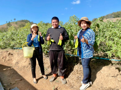 ติดตามการดำเนินงานสมาชิกโครงการลูกหลานเกษตรกรกลับบ้านสานต่ออาชีพเกษตรกร อ.ร้องกวาง ... พารามิเตอร์รูปภาพ 1