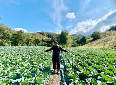 ติดตามการดำเนินงานสมาชิกโครงการลูกหลานเกษตรกรกลับบ้านสานต่ออาชีพเกษตรกร อ.ร้องกวาง ... พารามิเตอร์รูปภาพ 4