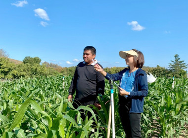 ติดตามการดำเนินงานสมาชิกโครงการลูกหลานเกษตรกรกลับบ้านสานต่ออาชีพเกษตรกร อ.ร้องกวาง ... พารามิเตอร์รูปภาพ 5