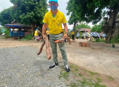 กิจกรรมจิตอาสาพัฒนา พารามิเตอร์รูปภาพ 7