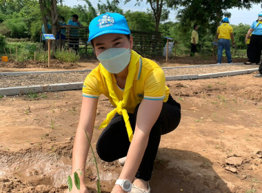 ร่วมกิจกรรมจิตอาสาพัฒนา เนื่องในโอกาสวันเฉลิมพระชนมพรรษา ... พารามิเตอร์รูปภาพ 8
