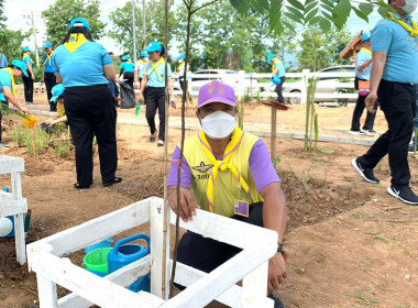 ร่วมกิจกรรมจิตอาสาพัฒนา เนื่องในโอกาสวันเฉลิมพระชนมพรรษา ... พารามิเตอร์รูปภาพ 6